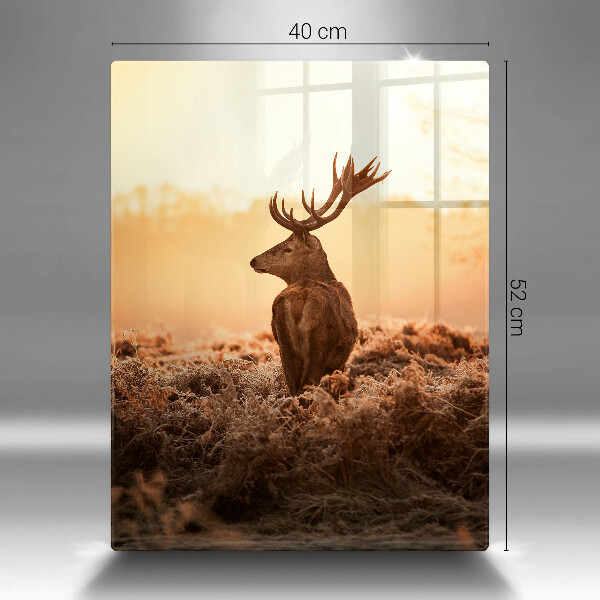 Skleněná krájecí deska Jelen v poli