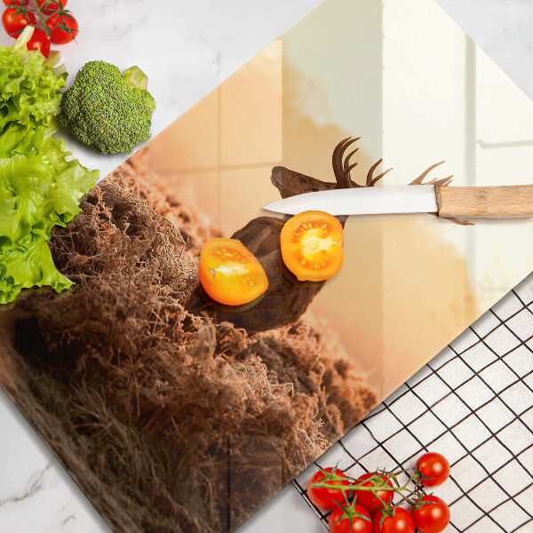 Skleněná krájecí deska Jelen v poli