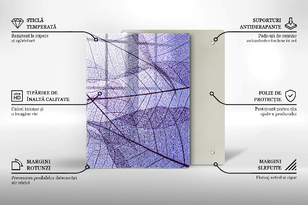 Skleněná deska do kuchyně Zelenina a koření