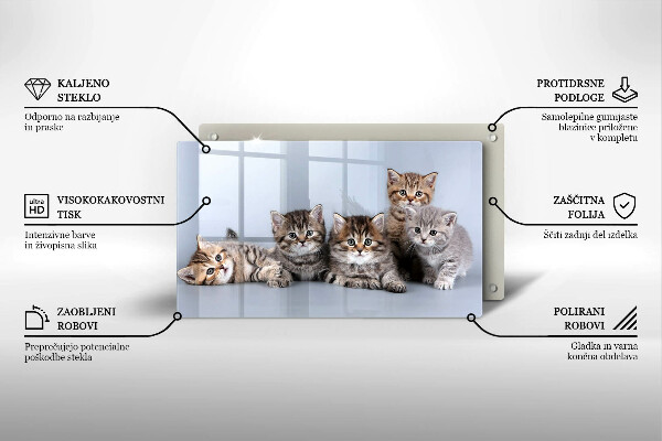 Skleněná deska do kuchyně Sladká koťátka