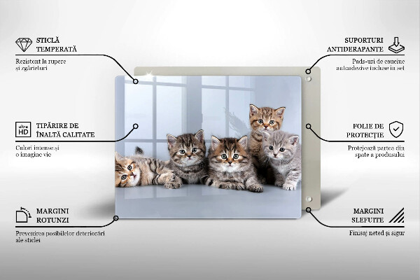 Skleněná deska do kuchyně Sladká koťátka