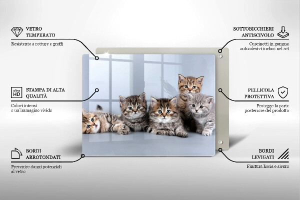 Skleněná deska do kuchyně Sladká koťátka