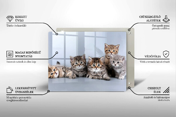 Skleněná deska do kuchyně Sladká koťátka