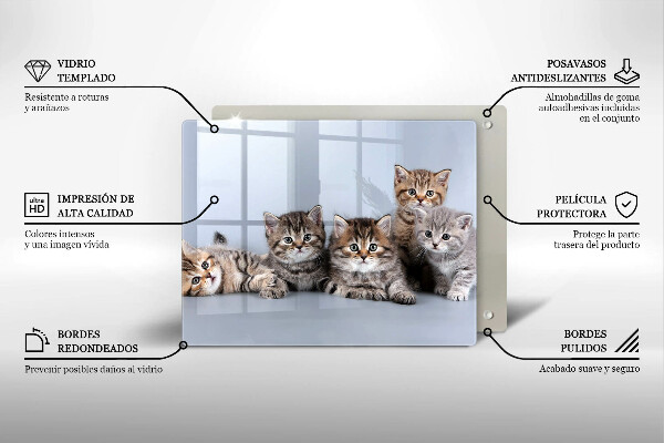 Skleněná deska do kuchyně Sladká koťátka