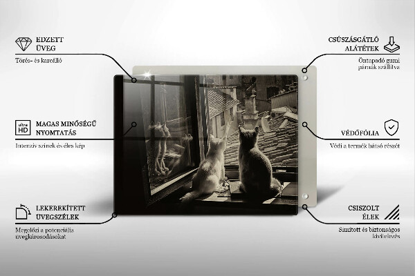 Skleněná deska do kuchyně Kočičí město a okno