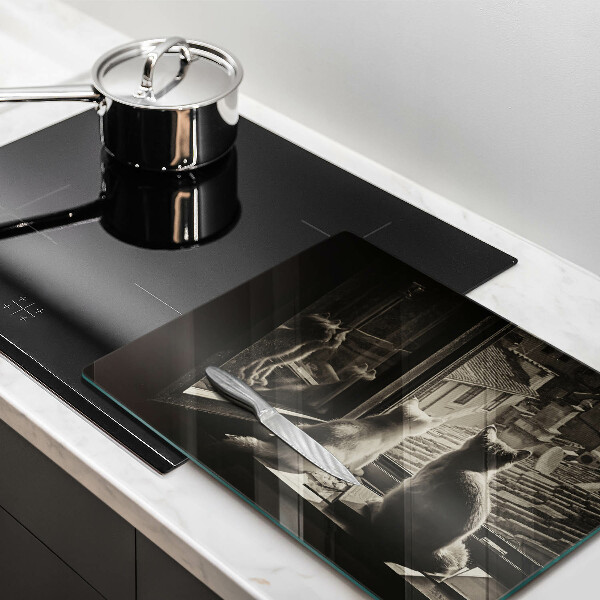 Skleněná deska do kuchyně Kočičí město a okno