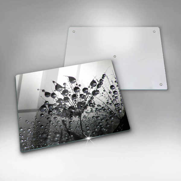 Skleněná deska do kuchyně Pampelišky a rosa