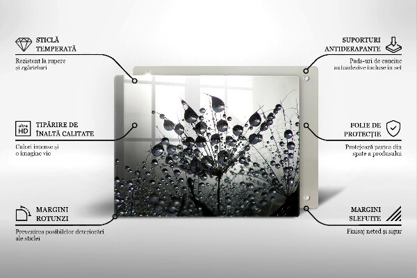 Skleněná deska do kuchyně Pampelišky a rosa