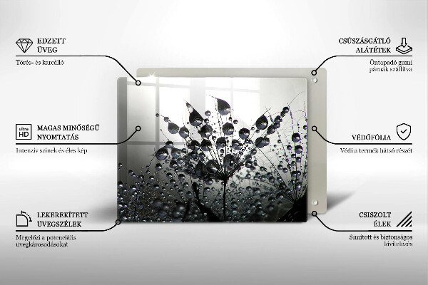 Skleněná deska do kuchyně Pampelišky a rosa