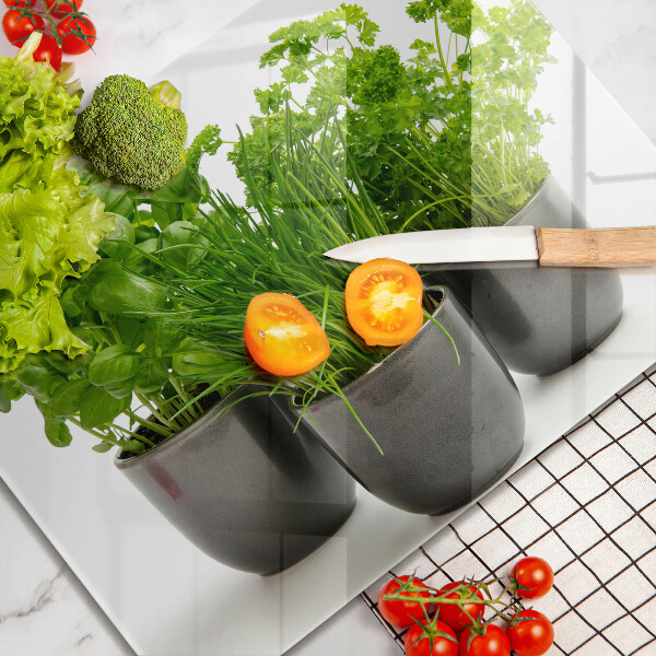 Skleněná deska do kuchyně Hrnce s bylinkami