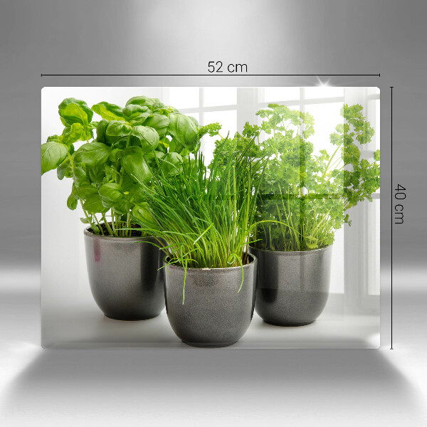 Skleněná deska do kuchyně Hrnce s bylinkami