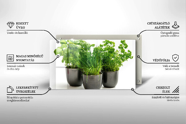 Skleněná deska do kuchyně Hrnce s bylinkami