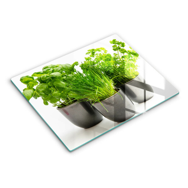 Skleněná deska do kuchyně Hrnce s bylinkami