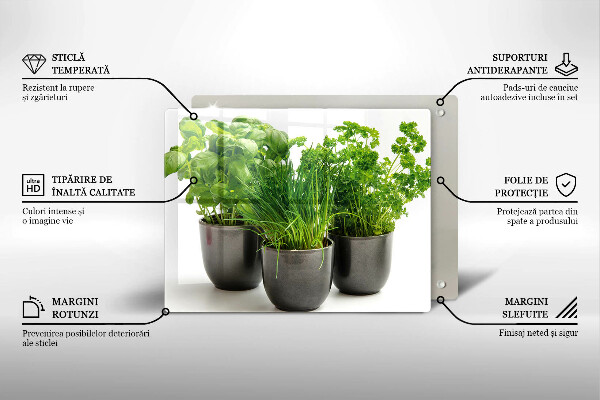 Skleněná deska do kuchyně Hrnce s bylinkami