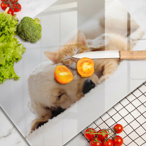 Krájecí prkénko skleněné Zvířata pes a kočka