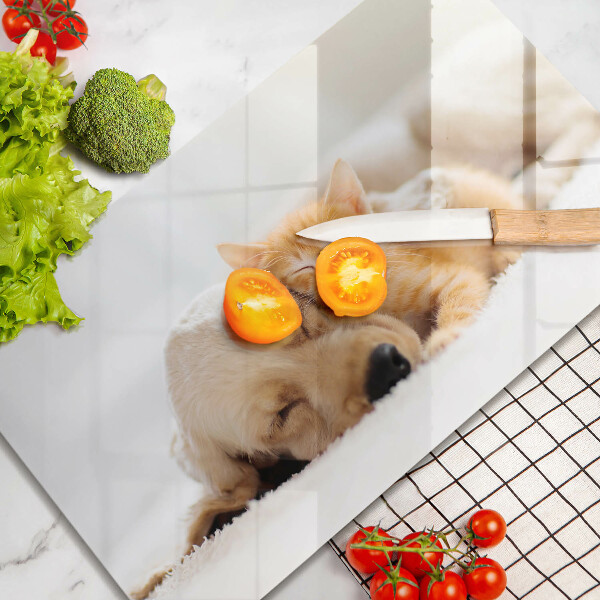 Krájecí prkénko skleněné Zvířata pes a kočka