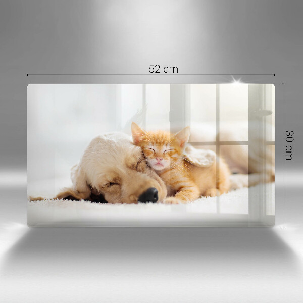 Krájecí prkénko skleněné Zvířata pes a kočka