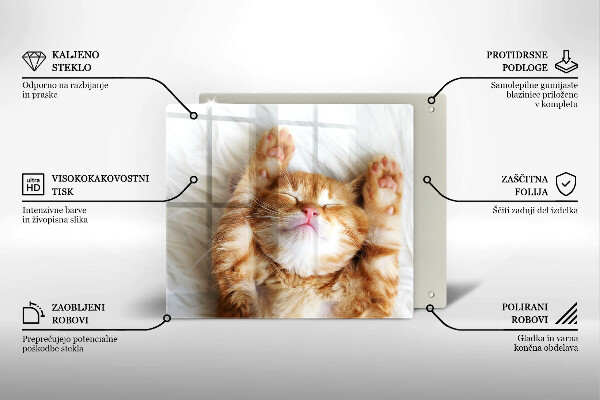 Skleněná krájecí deska Malé roztomilé kotě