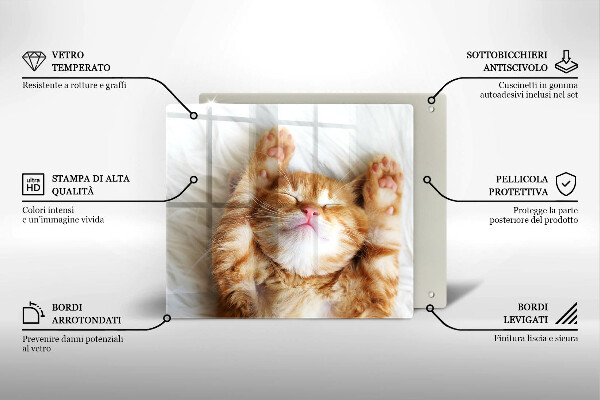 Skleněná krájecí deska Malé roztomilé kotě