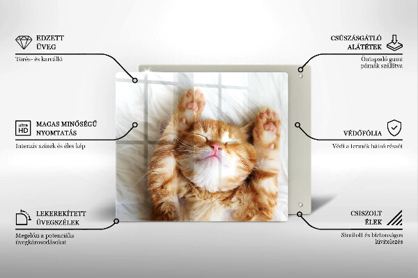 Skleněná krájecí deska Malé roztomilé kotě