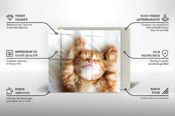 Skleněná krájecí deska Malé roztomilé kotě