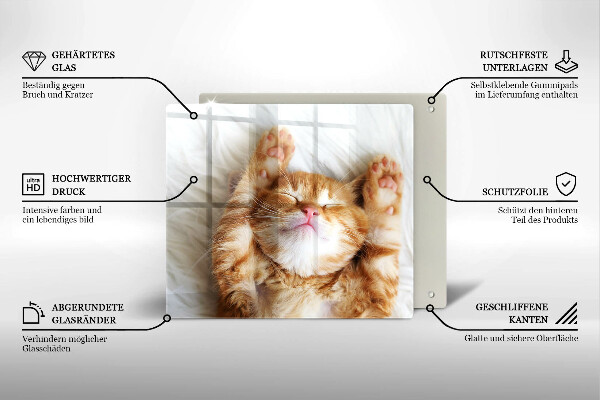 Skleněná krájecí deska Malé roztomilé kotě