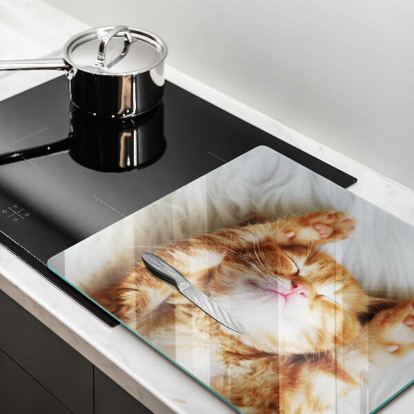 Skleněná krájecí deska Malé roztomilé kotě