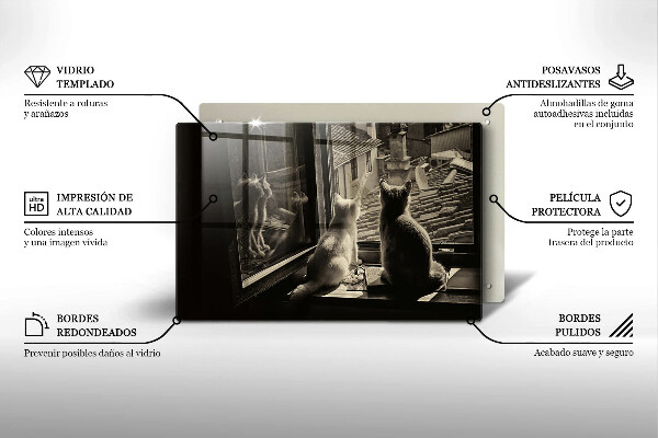 Skleněná deska do kuchyně Kočičí město a okno