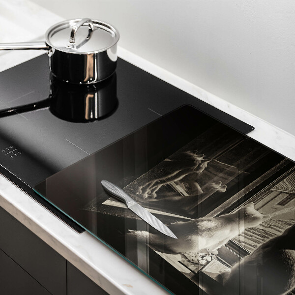 Skleněná deska do kuchyně Kočičí město a okno