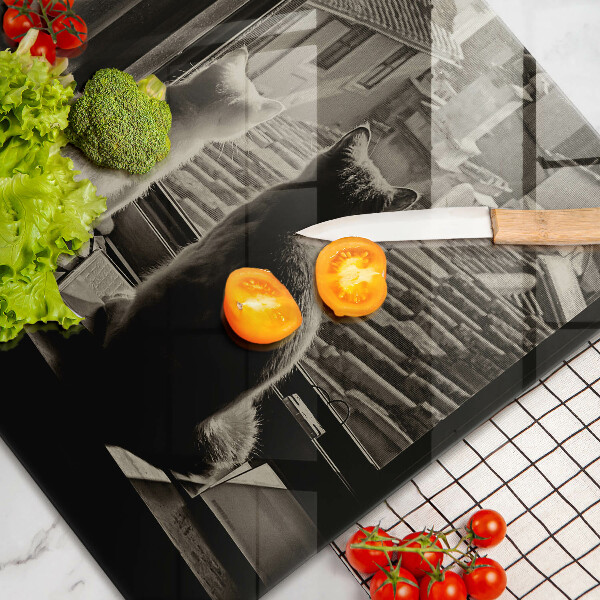 Skleněná deska do kuchyně Kočičí město a okno