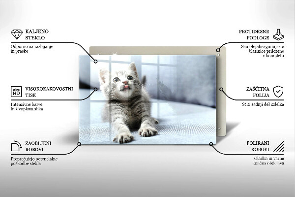 Skleněná deska do kuchyně Malé roztomilé kotě