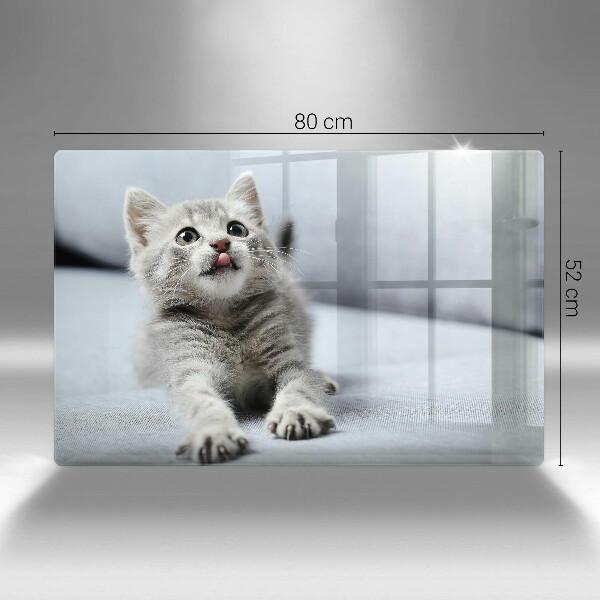 Skleněná deska do kuchyně Malé roztomilé kotě