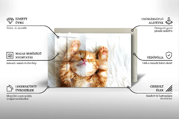 Skleněná deska do kuchyně Malé roztomilé kotě