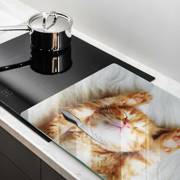 Skleněná deska do kuchyně Malé roztomilé kotě