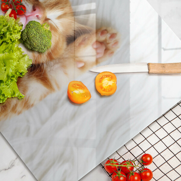 Skleněná deska do kuchyně Malé roztomilé kotě