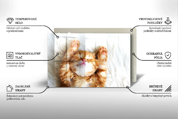 Skleněná deska do kuchyně Malé roztomilé kotě