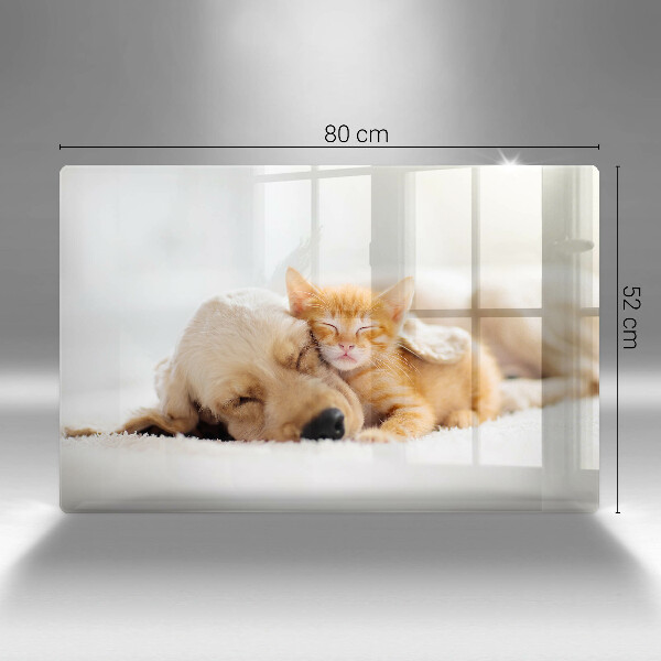 Krájecí prkénko skleněné Zvířata pes a kočka