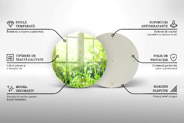 Skleněná deska do kuchyně Příroda - tráva a rosa