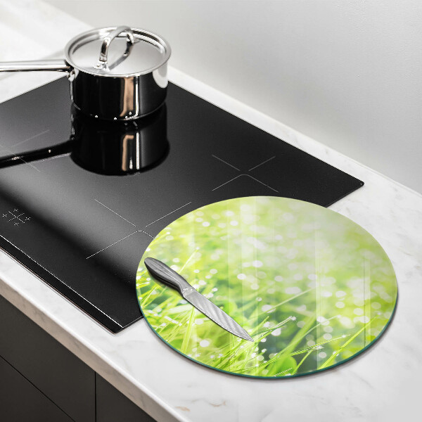 Skleněná deska do kuchyně Příroda - tráva a rosa