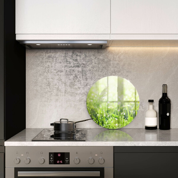 Skleněná deska do kuchyně Příroda - tráva a rosa