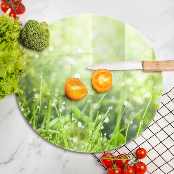 Skleněná deska do kuchyně Příroda - tráva a rosa