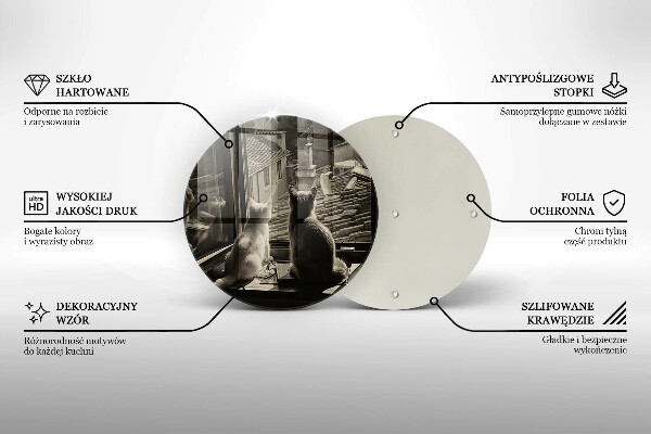 Skleněná deska do kuchyně Kočičí město a okno