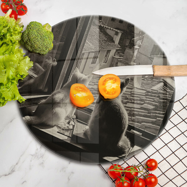 Skleněná deska do kuchyně Kočičí město a okno