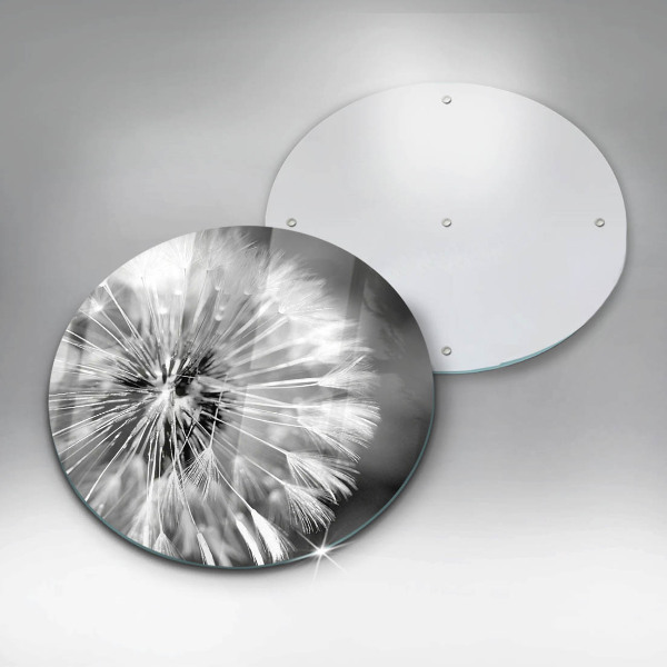 Skleněná deska do kuchyně Jemná pampeliška