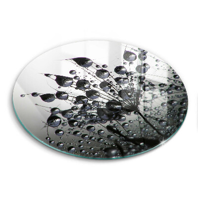 Skleněná deska do kuchyně Pampelišky a rosa