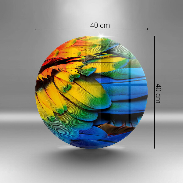 Skleněná deska do kuchyně Barevné papouščí peří
