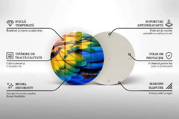 Skleněná deska do kuchyně Barevné papouščí peří