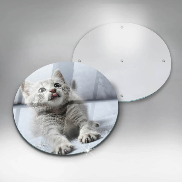 Skleněná deska do kuchyně Malé roztomilé kotě