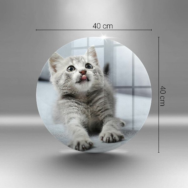 Skleněná deska do kuchyně Malé roztomilé kotě