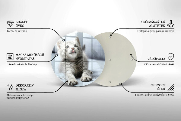 Skleněná deska do kuchyně Malé roztomilé kotě